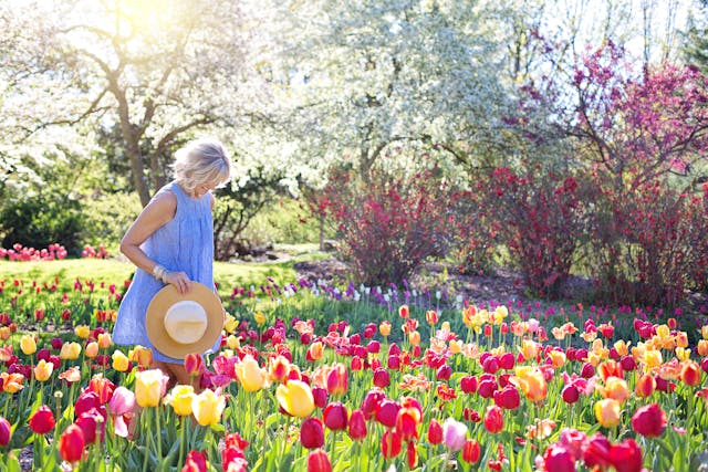 Creare un Bosco Incantato nel Tuo Giardino: 10 Idee da Realizzare